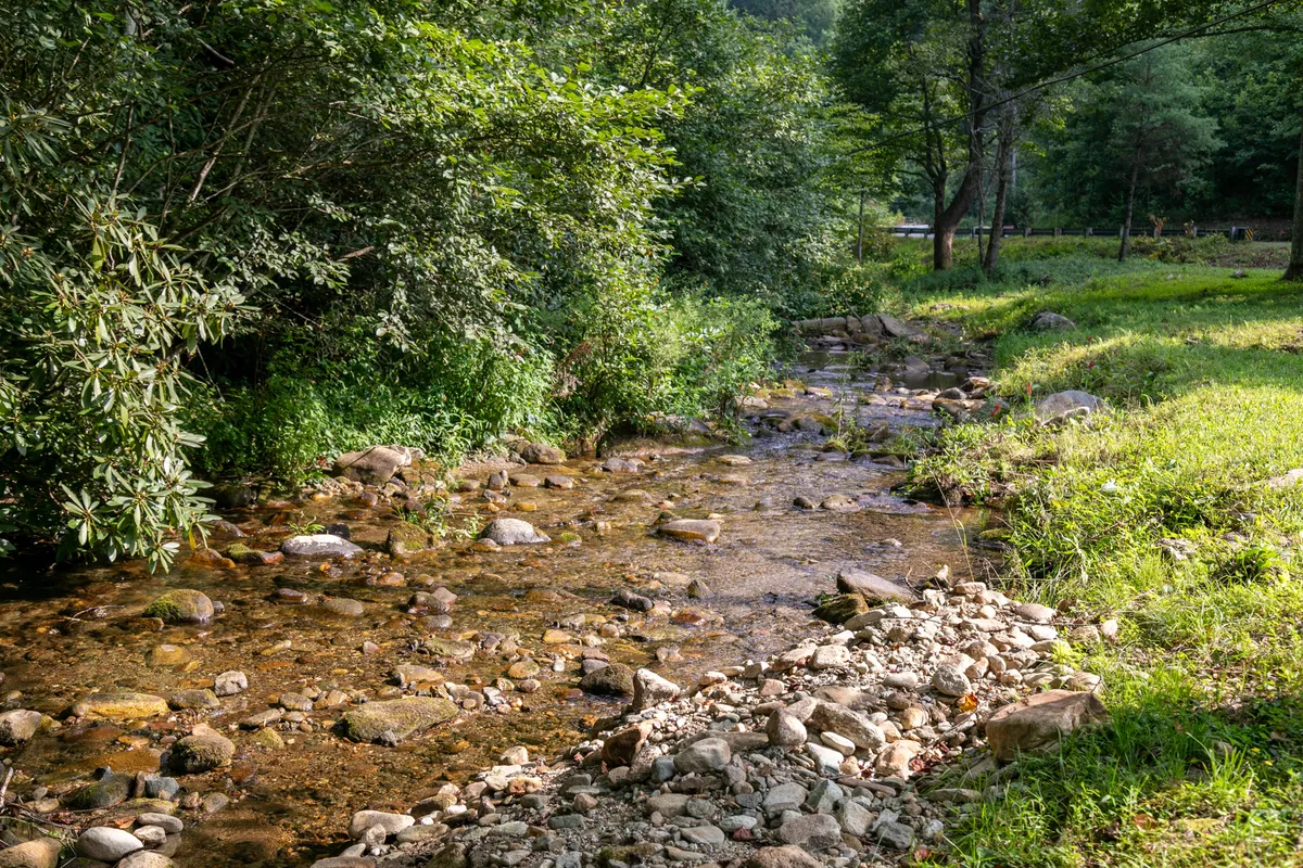 A gentle stream winds through rocks and dense greenery, offering a peaceful outdoor retreat ideal for birdwatching, photography, or relaxing by the water. The natural surroundings highlight the secluded, adventure-rich location of the property.