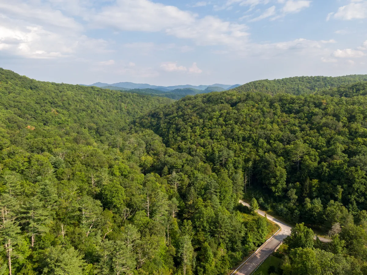 A sweeping view of lush green hills, a winding road that evokes a sense of adventure, and distant mountains under a tranquil sky. The scene is vibrant, inviting, and showcases the natural beauty accessible from the property.
