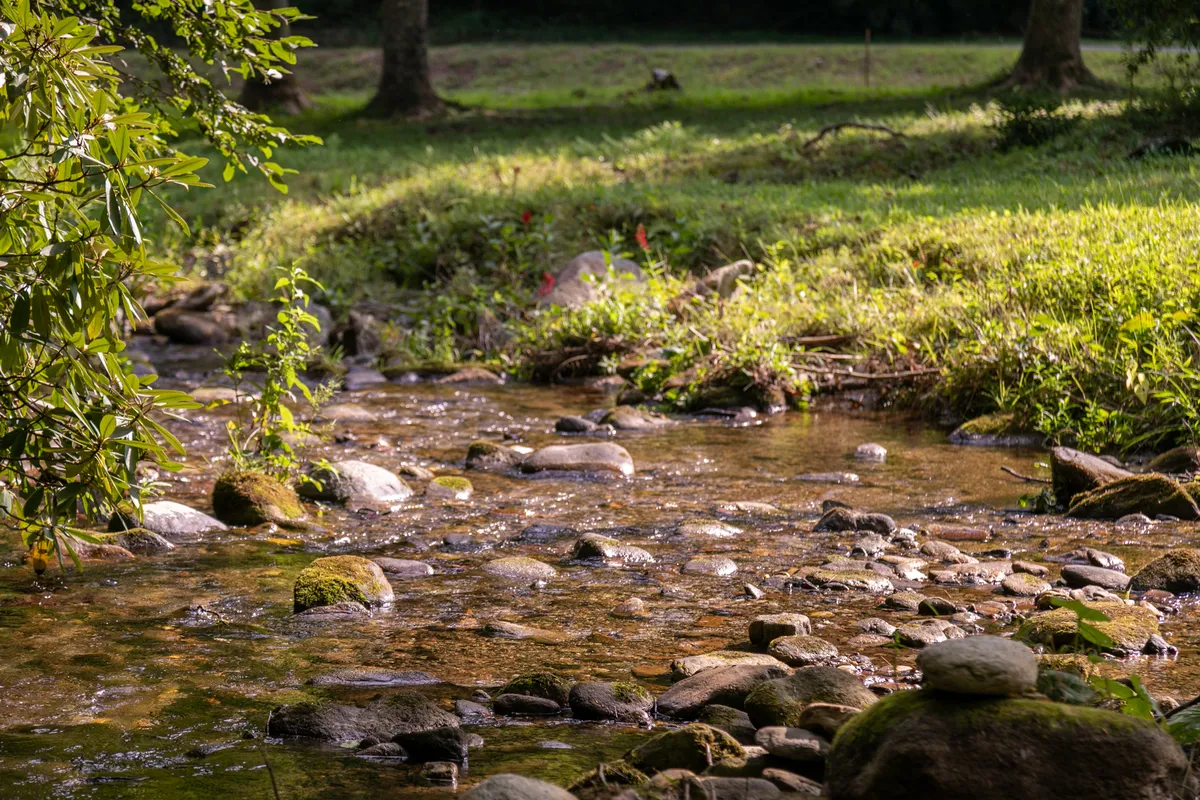 A peaceful, gentle stream bordered by smooth pebbles and surrounded by lush greenery. The scene is tranquil, perfect for quiet reflection, picnics, or a nature walk beside the water.